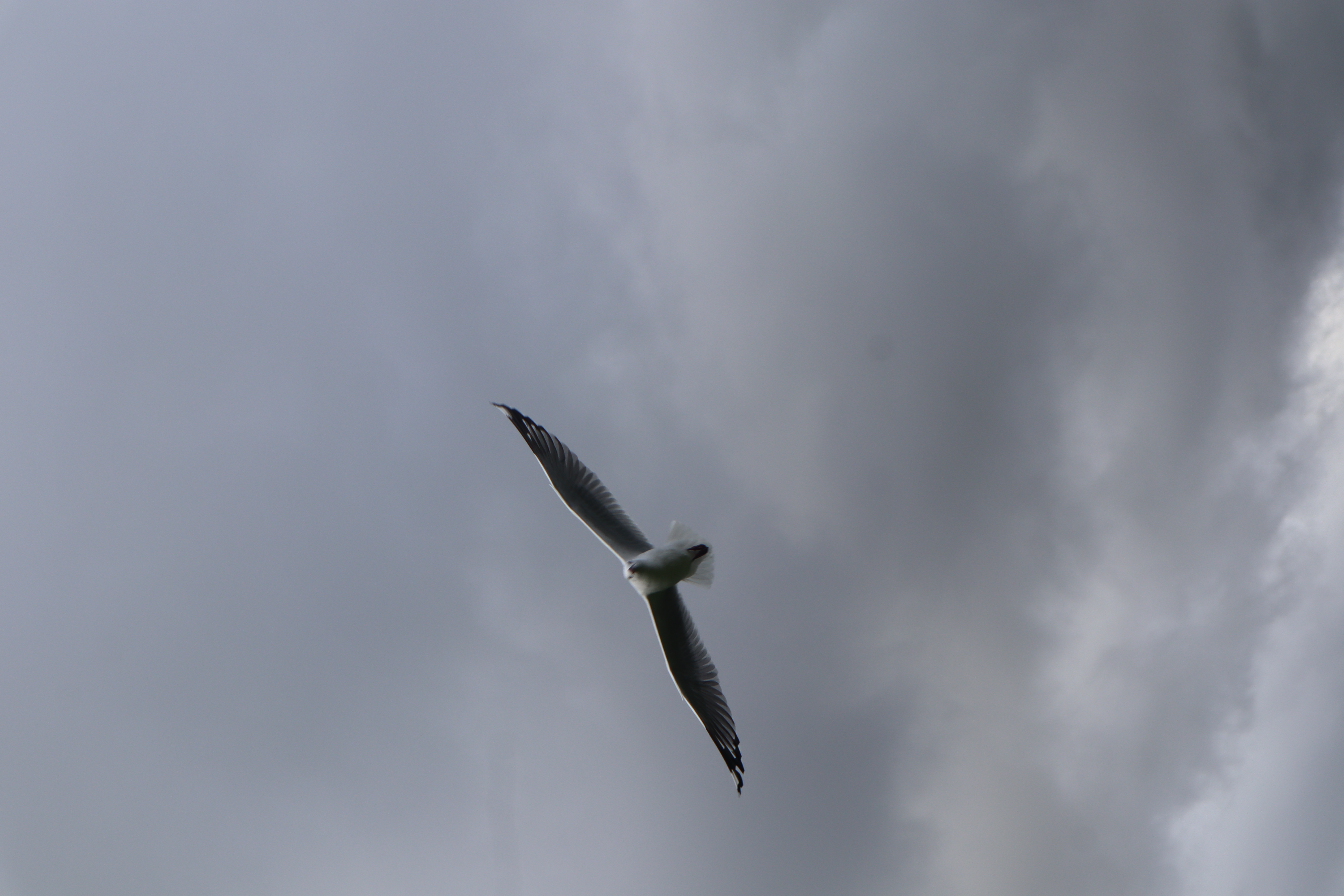 Missions Trip 2025 — taken on the east coast of New Zealand North Island